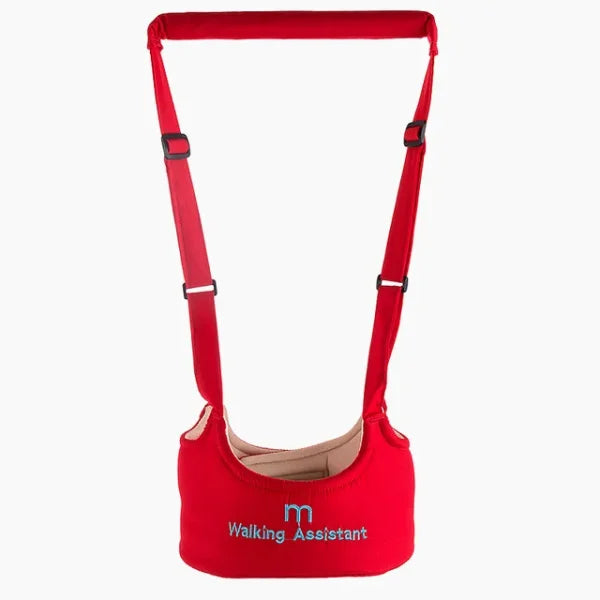 Baby Walker Toddler